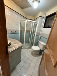 Dover Parkview (D5), Condominium #463210651